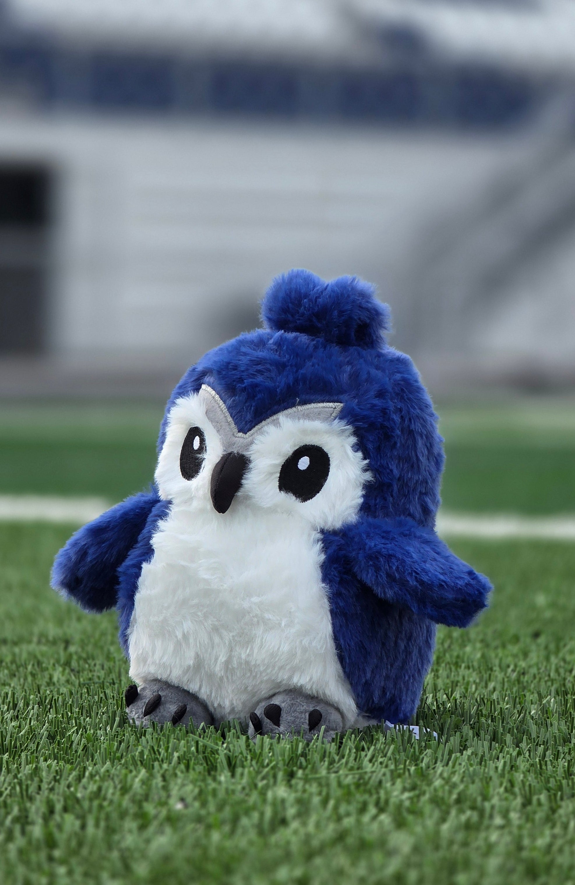 Baby Riverhawk